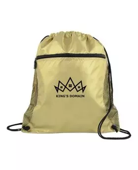 Metallic Shiny Gold or Silver Drawstring Backpack with Mesh Accents