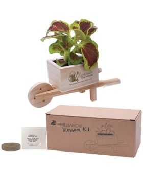 All Natural Wooden Wheel Barrow Planter Kit
