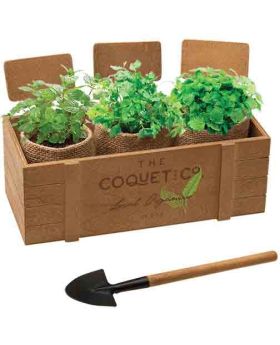 Indoor Garden Box Planter Kit