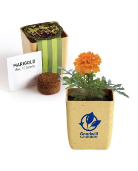 Recycled Planter Gift with Marigold Flower Seeds